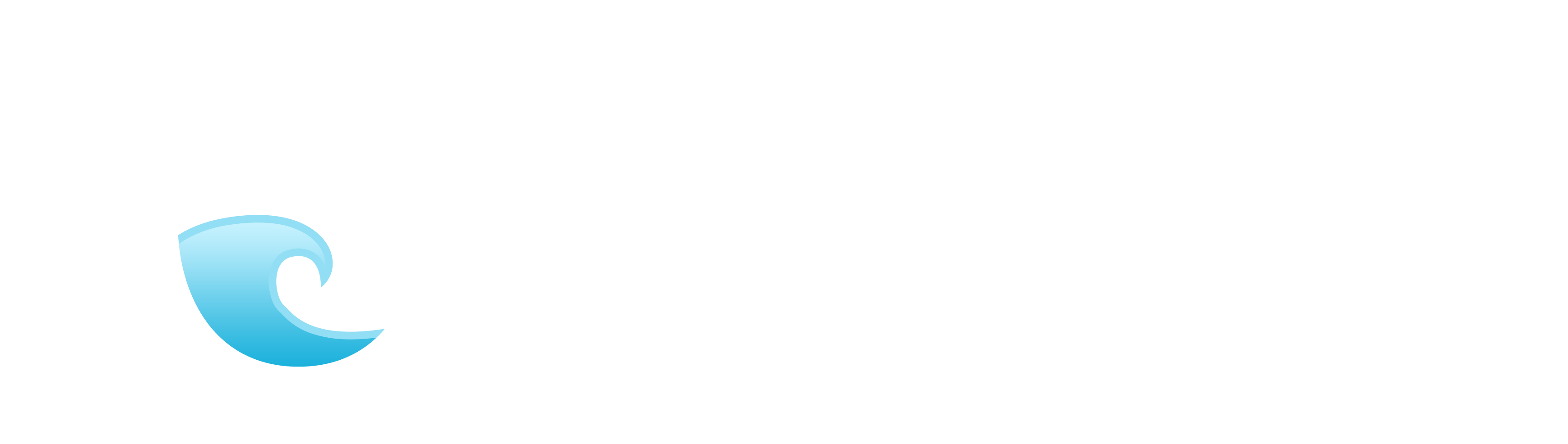 dotOcean logo